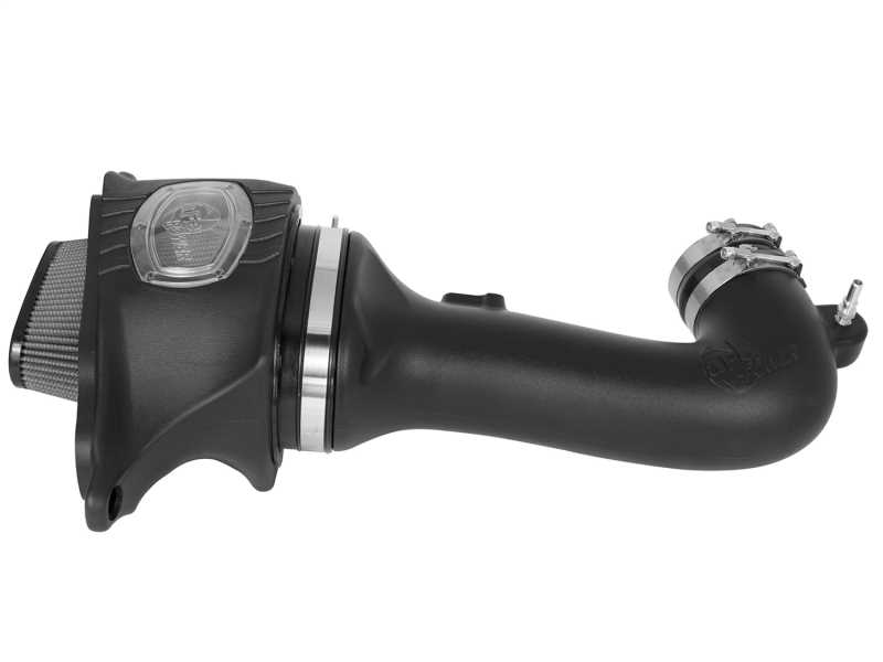 Momentum Pro DRY S Air Intake System 51-74202-1